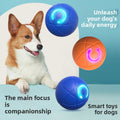 Automatic Interactive Pet Ball